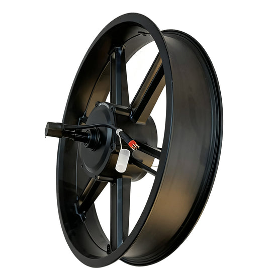 750W Motor wheel hub for ebike X3/X29