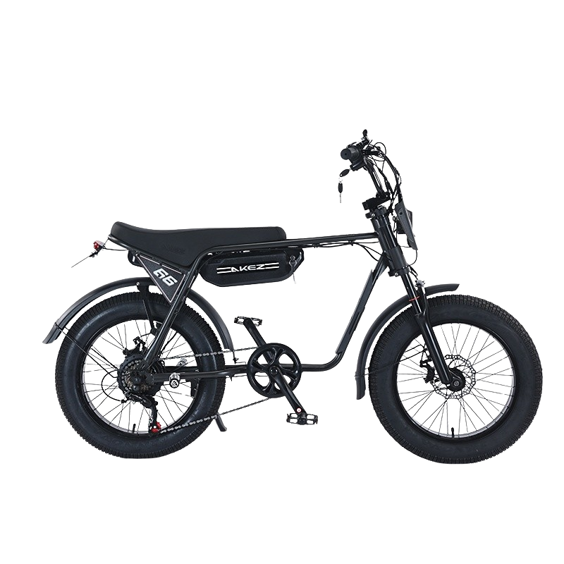 Akez ZX Electric Bike