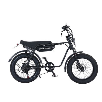 Akez ZX Electric Bike