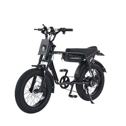 Akez ZX Electric Bike