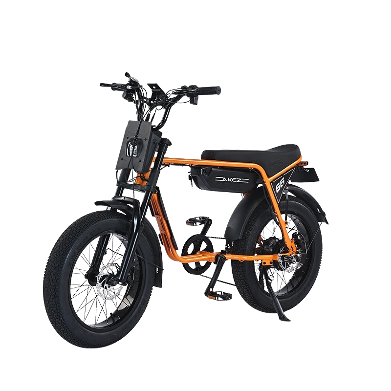 Akez ZX Electric Bike