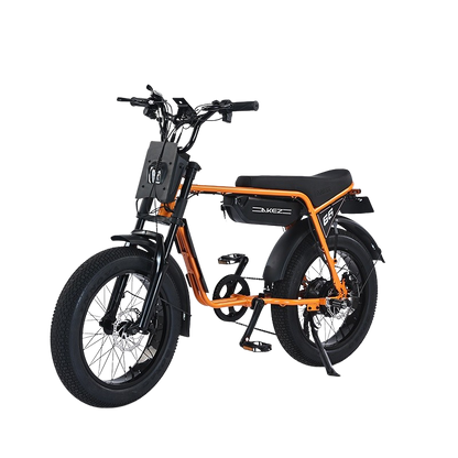 Akez ZX Electric Bike