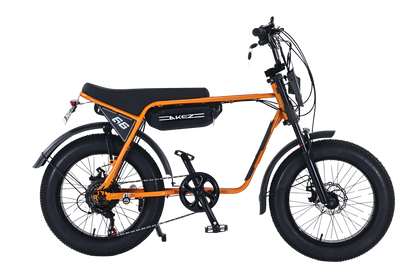 Akez ZX Electric Bike