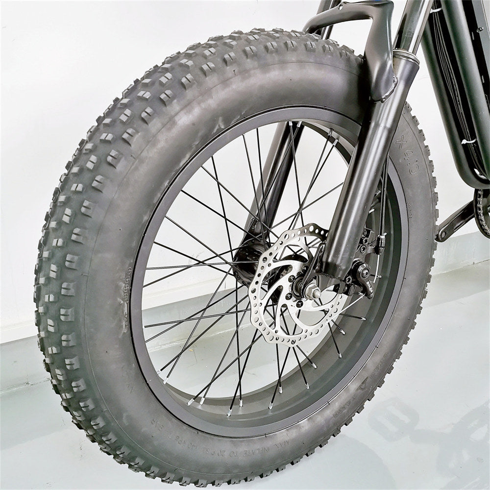 Cruise C91 Electric Bike