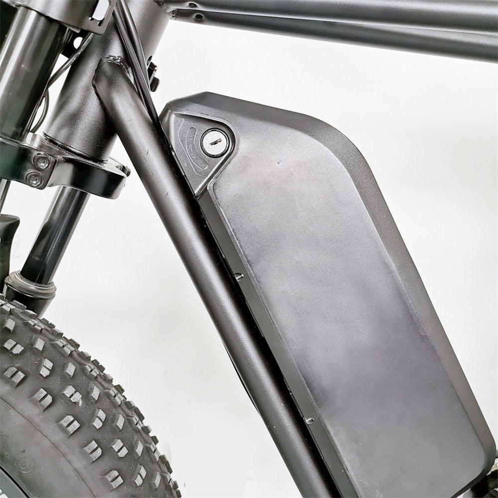 Cruise C91 Electric Bike