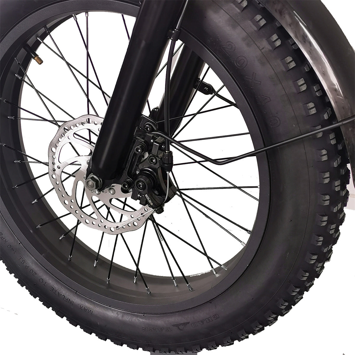 Cruise C91 Electric Bike