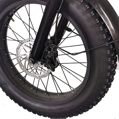 Cruise C91 Electric Bike