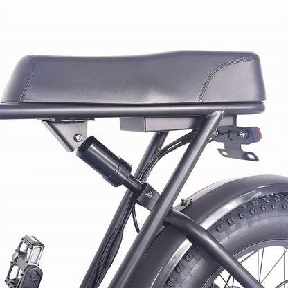 Cruise C91 Electric Bike