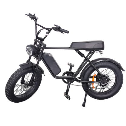 Cruise C91 Electric Bike