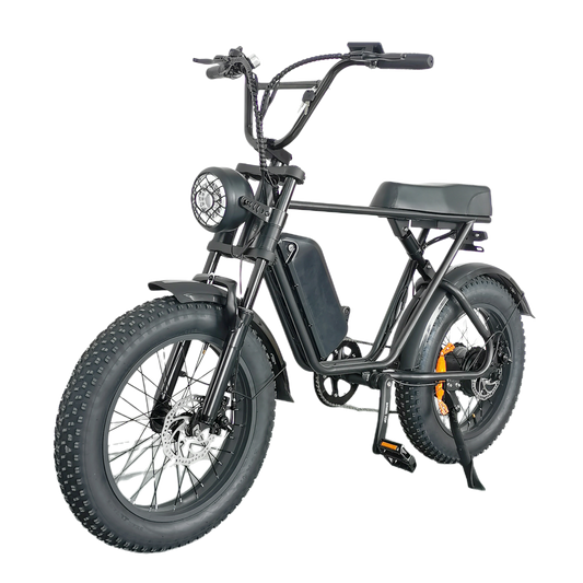 Cruise C91 Electric Bike