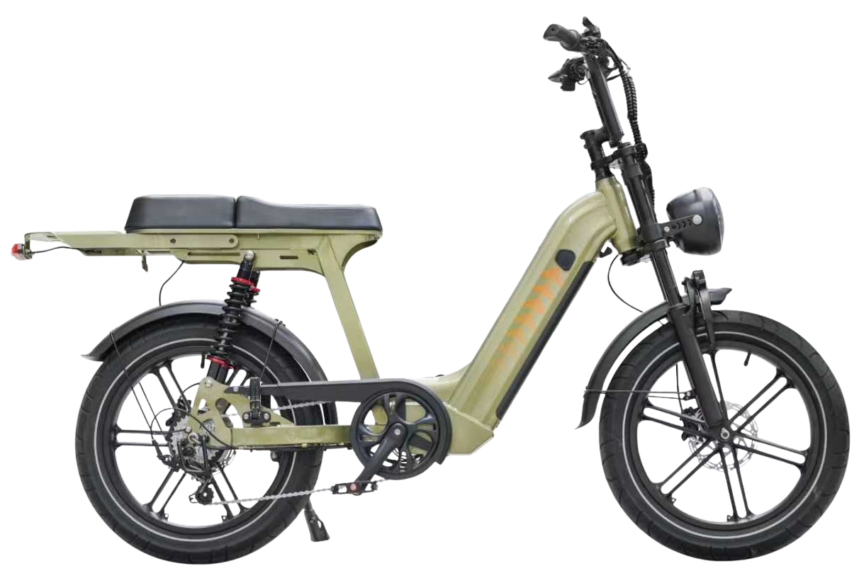 Cruise D50 - Step Through eBike