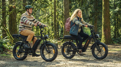 Cruise D50 - Step Through eBike