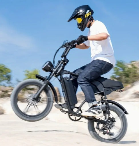 Cruise X29 Dual Battery – Zephyr Ebikes