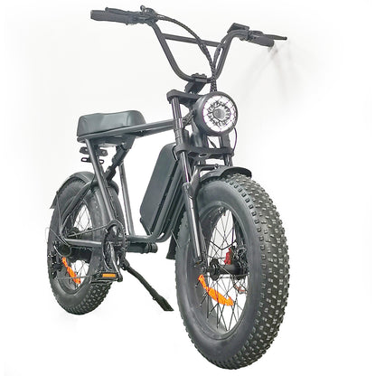 Cruise C91 Electric Bike